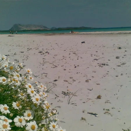 Casa Lea - Al Canneto * San Teodoro (Sardinia)