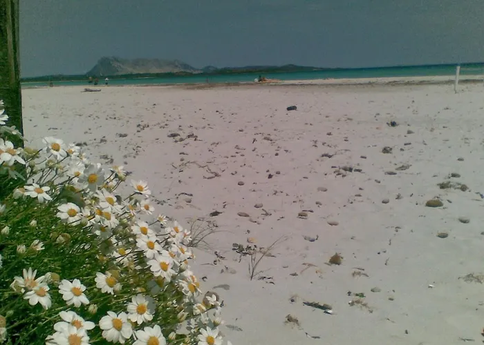 Casa Lea - Al Canneto * San Teodoro