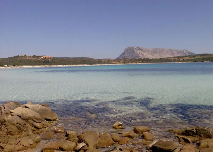 Casa Lea - Al Canneto * San Teodoro